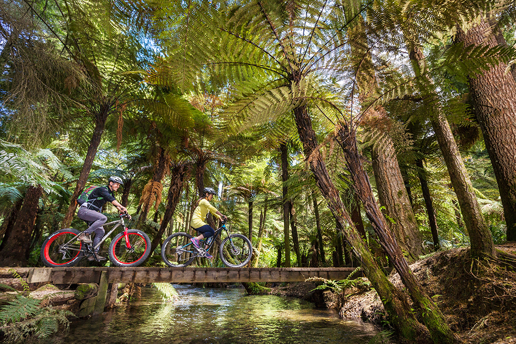 Rotorua Adventure Itinerary mountain biking